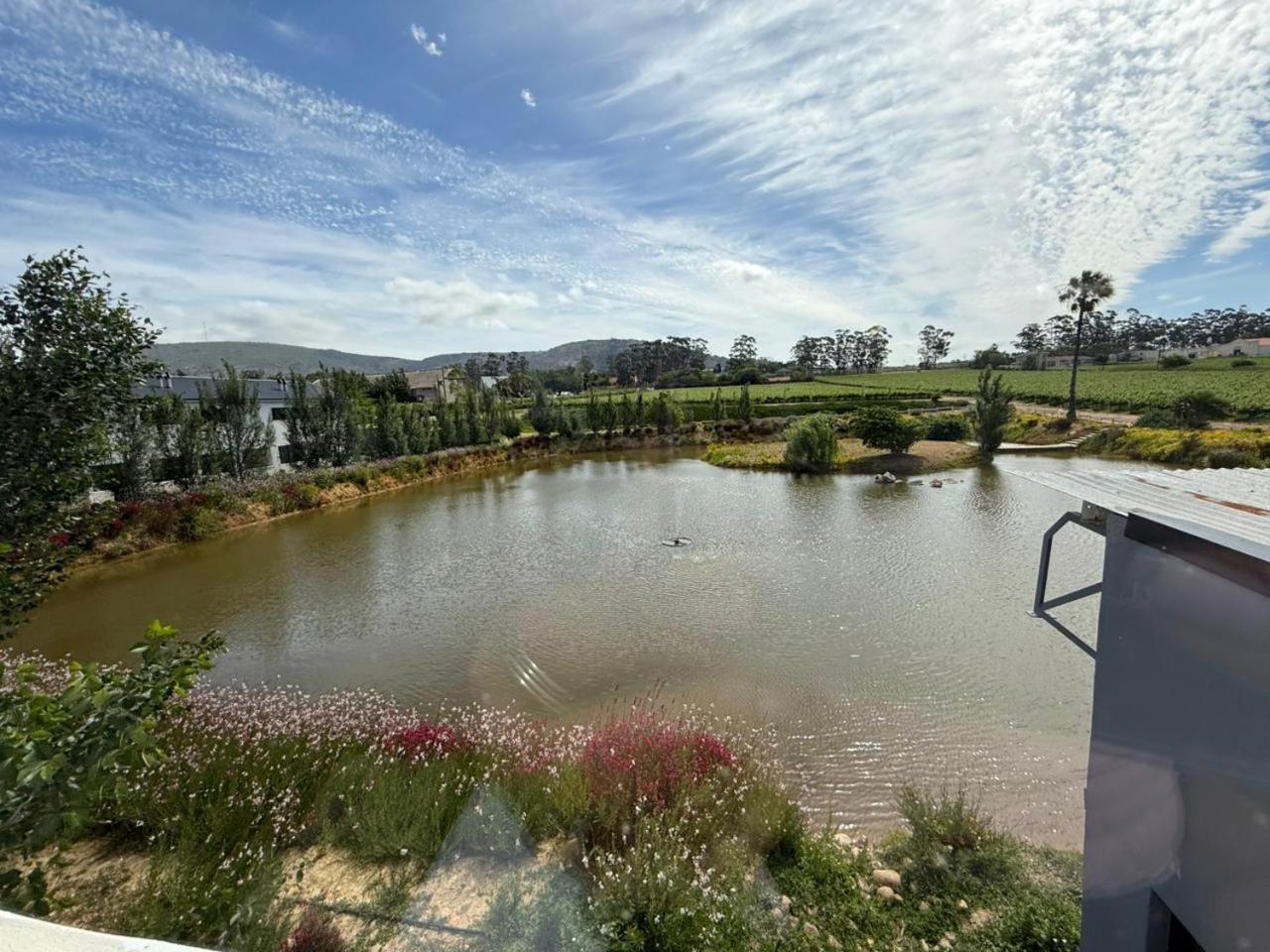 Middelplaas Paarl Guesthouse エクステリア 写真
