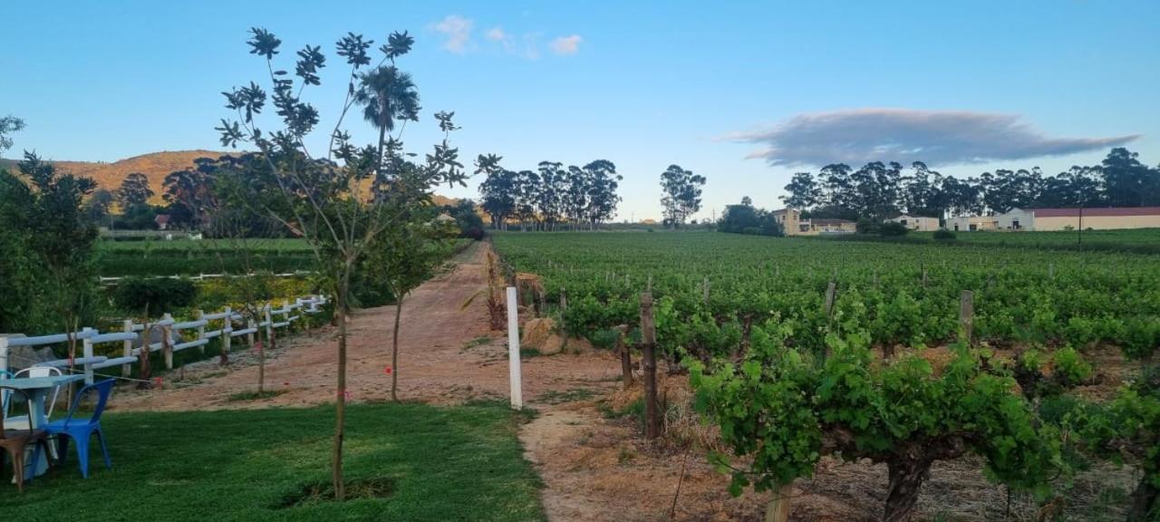 Middelplaas Paarl Guesthouse エクステリア 写真