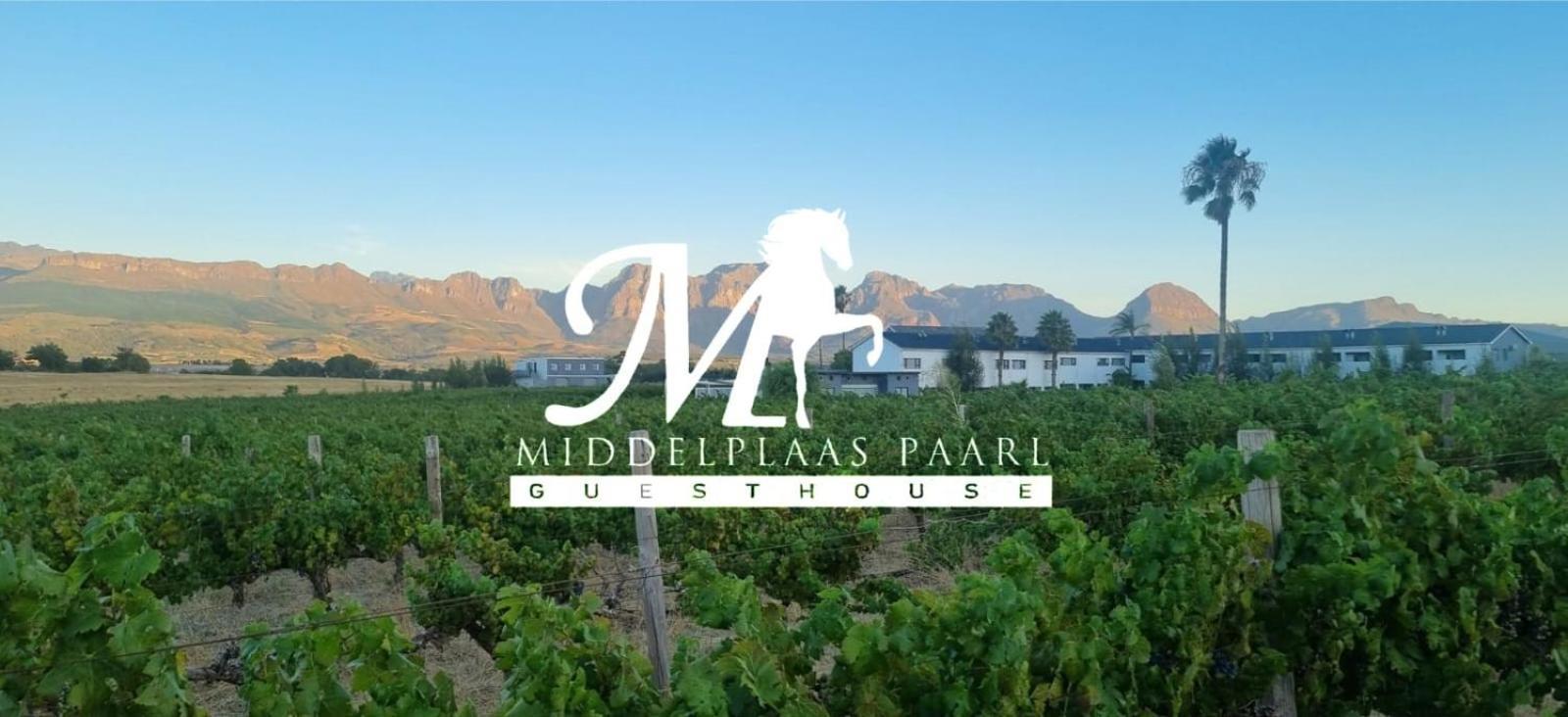Middelplaas Paarl Guesthouse エクステリア 写真